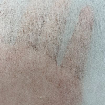 LDPEで覆われた化学結合性のある非織物型融合性織物,双点/単点