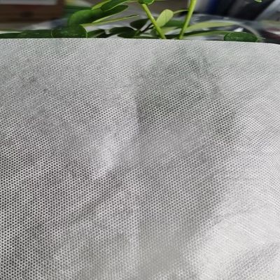 軽量で水溶性刺身パッチ 裏付け粘着膜 細かいデザイン